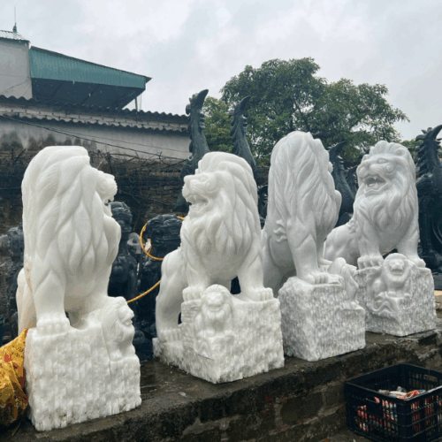 Con giống đá - Mẫu 05