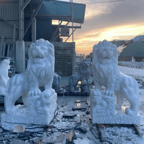 Con giống đá - Mẫu 06