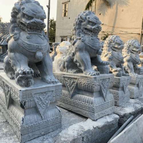 Con giống đá - Mẫu 11