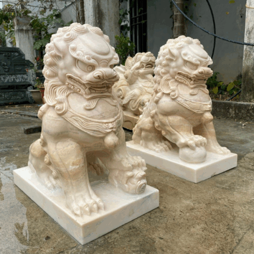 Con giống đá - Mẫu 12